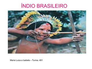 ÍNDIO BRASILEIRO
Maria Luiza e Isabela – Turma: 401
 