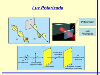 Luz Polarizada Luz Polarizada Polarizador 