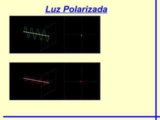 Luz Polarizada 