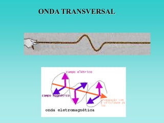 ONDA TRANSVERSAL
 