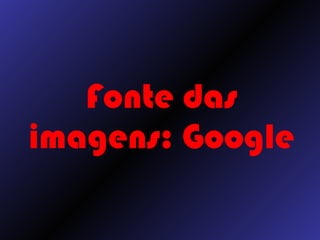 Fonte das imagens: Google 
