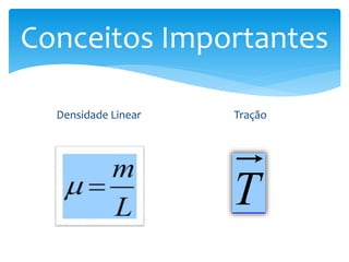 Conceitos Importantes
Densidade Linear Tração
T
 
