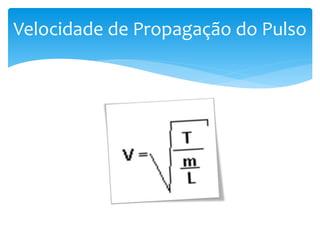 Velocidade de Propagação do Pulso
 
