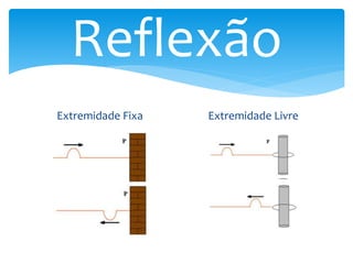 Reflexão
Extremidade Fixa Extremidade Livre
 