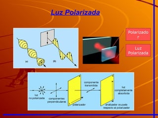 Luz Polarizada
Luz
Polarizada
Polarizado
r
 