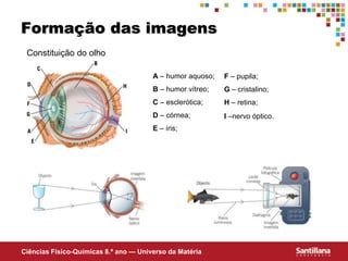 Ciências Fisico-Químicas 8.º ano — Universo da Matéria
Formação das imagens
A – humor aquoso;
B – humor vítreo;
C – esclerótica;
D – córnea;
E – íris;
F – pupila;
G – cristalino;
H – retina;
I –nervo óptico.
Constituição do olho
 