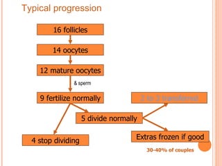 16 follicles 12 mature oocytes 14 oocytes Extras frozen if good 2 to 3 transferred 9 fertilize normally 5 divide normally 30-40% of couples 4 stop dividing & sperm Typical progression 