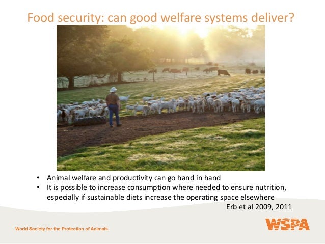 Can Consumer Demand Deliver Sustainable Food Can Consumer Demand Deliver Sustainable Food