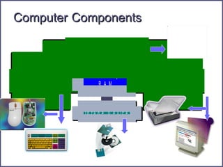Computer   Components 