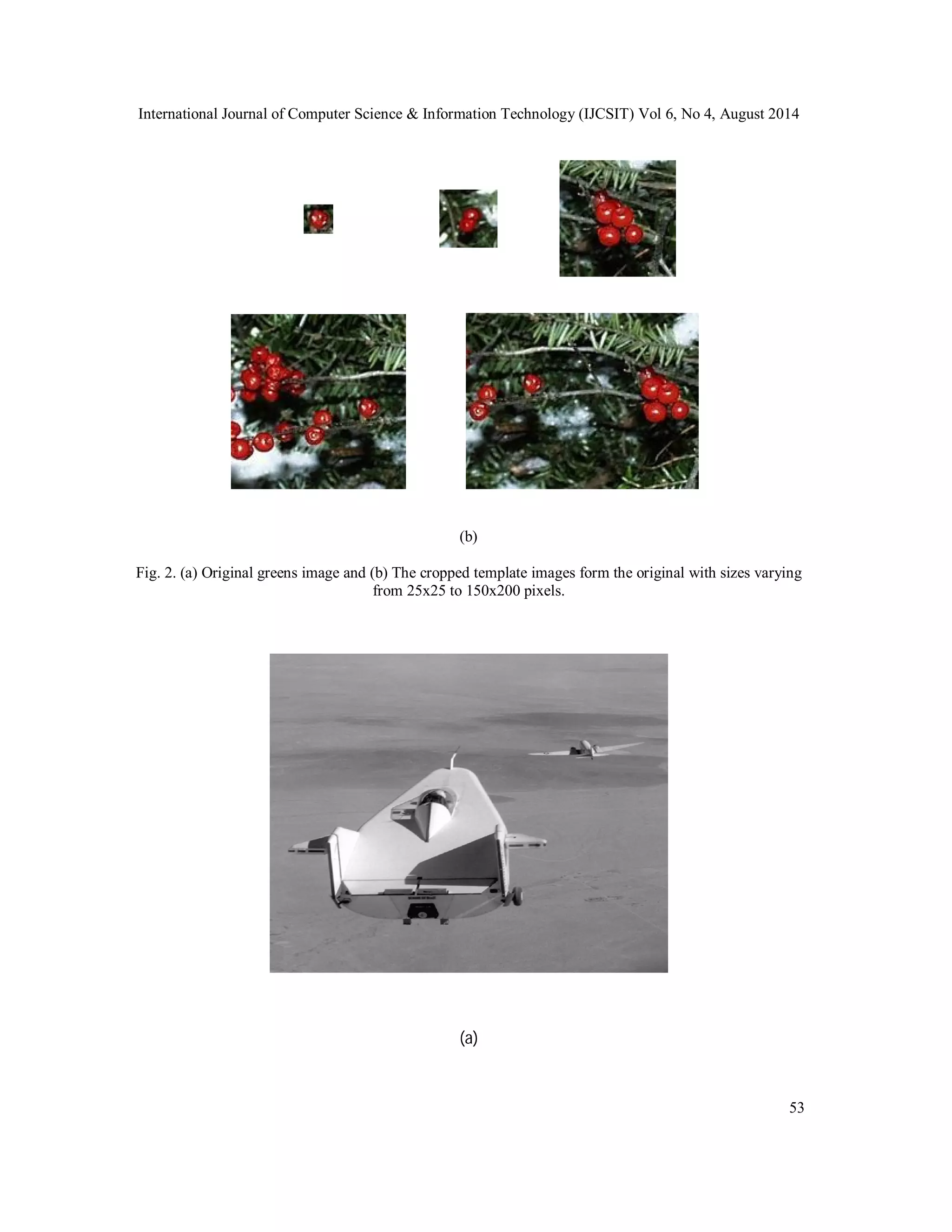 International Journal of Computer Science & Information Technology (IJCSIT) Vol 6, No 4, August 2014 53 (b) Fig. 2. (a) Original greens image and (b) The cropped template images form the original with sizes varying from 25x25 to 150x200 pixels. (a) 