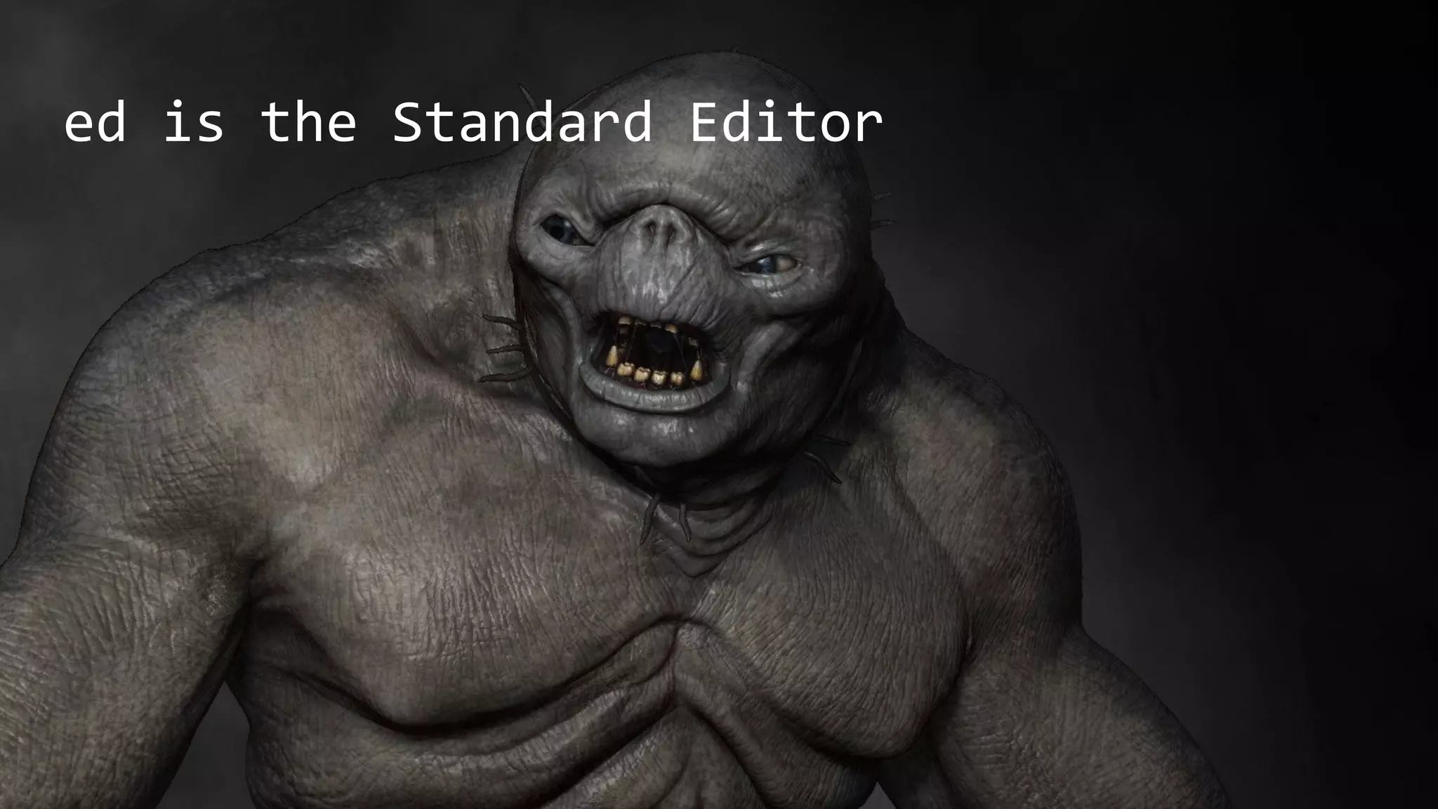 ed is the Standard Editor
 