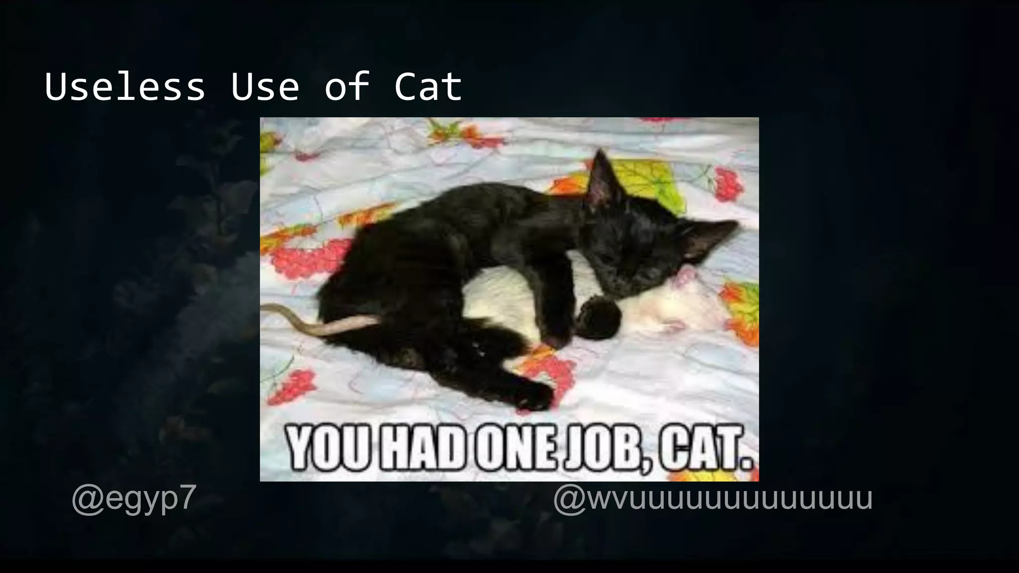 Useless Use of Cat
@egyp7 @wvuuuuuuuuuuuuu
 