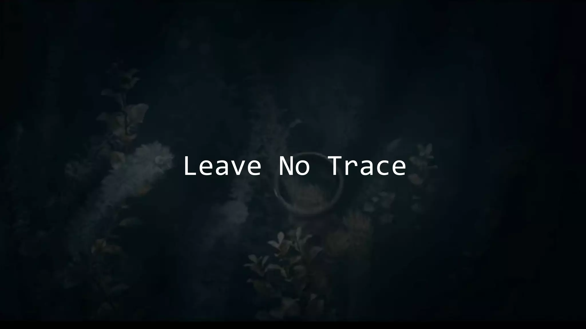 Leave No Trace
 