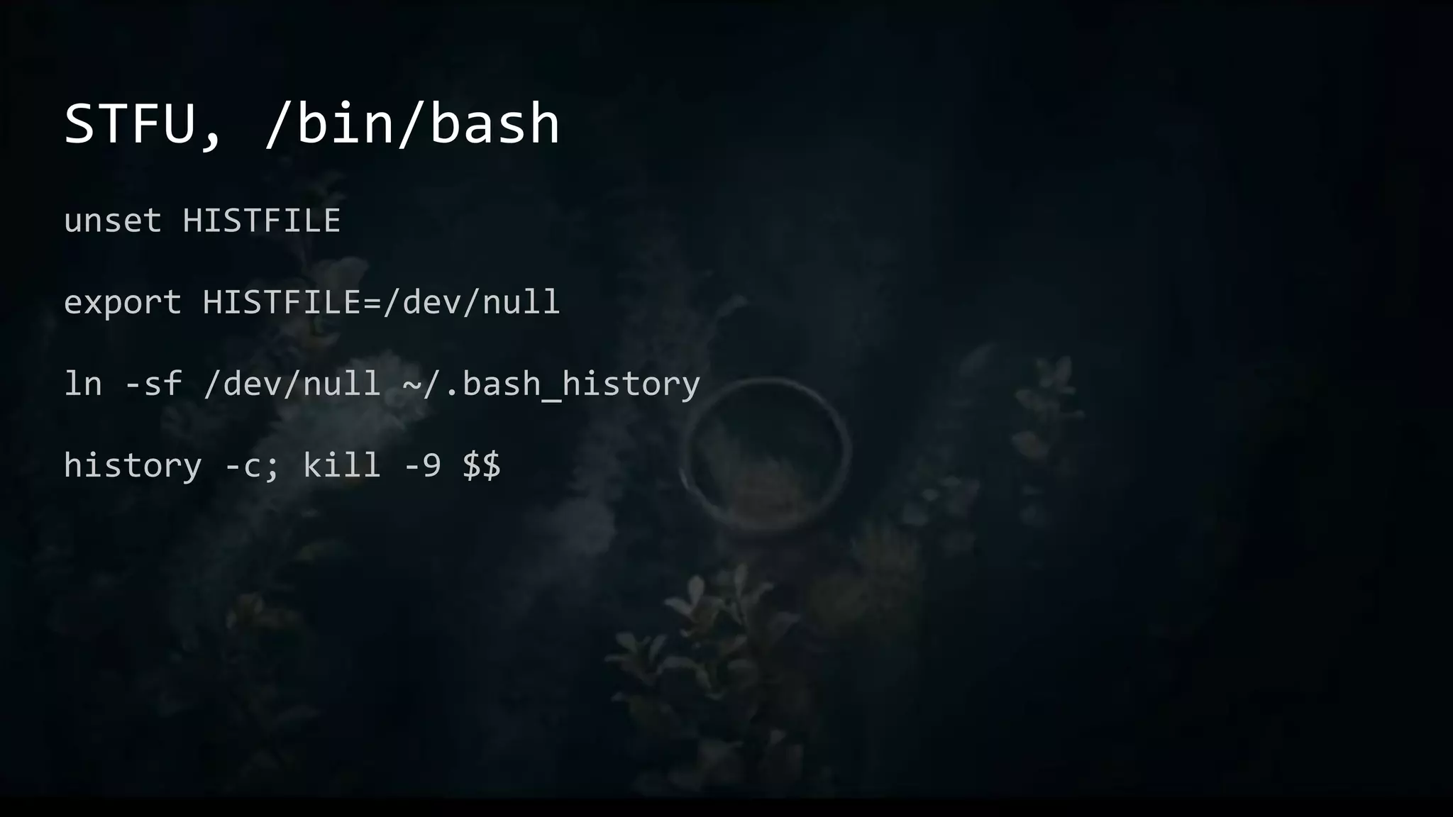 STFU, /bin/bash
unset HISTFILE
export HISTFILE=/dev/null
ln -sf /dev/null ~/.bash_history
history -c; kill -9 $$
 