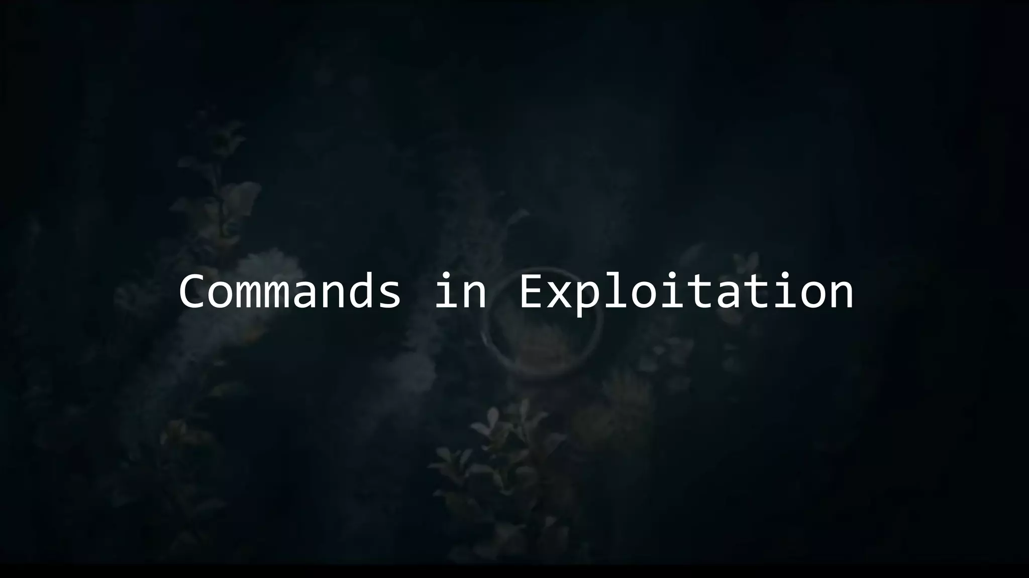 Commands in Exploitation
 