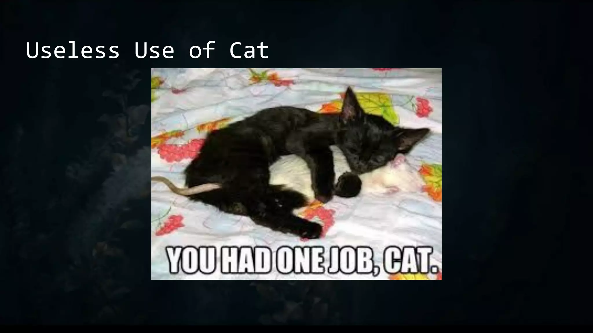 Useless Use of Cat
 
