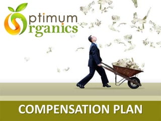 COMPENSATION PLAN
 