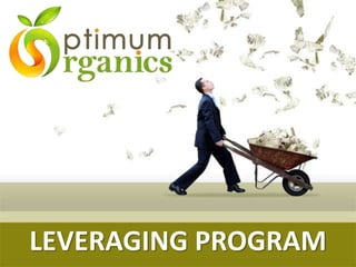 LEVERAGING PROGRAM
 
