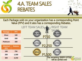 Package PPV
Silver 100
Gold 200
Platinum 300
Matched
PPV
Rebates
100 750
200 1,500
300 2,250
 