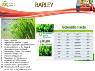 1. Potent Detoxifier
2. High in many different Enzymes
3. Improves Digestion & Bowel Movement
4. Restores Alkalinity to the Blood, &
cleanses and builds the blood
5. Is a complete Protein (20% protein)
6. Helps with Weight Loss
7. Increases Energy Levels
8. Slows down the Aging process
9. Acts as an anti-inflammatory
10. Clears Skin & reduces Body odor
11. Improves blood sugar disorders
12. Helps treatments & prevention of
cancer (due to high oxygen content)
 