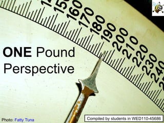 Photo:  Fatty Tuna ONE  Pound Perspective Compiled by students in WED110-45686 