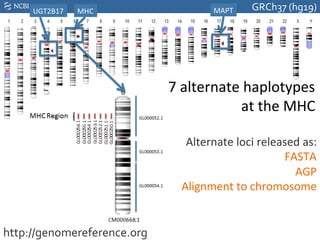UGT2B17	
     MHC	
                    MAPT	
     GRCh37	
  (hg19)	
  




                                 7	
  alternate	
  haplotypes	
  
                                                 at	
  the	
  MHC	
  

                                     Alternate	
  loci	
  released	
  as:	
  
                                                               FASTA	
  
                                                                 AGP	
  
                                    Alignment	
  to	
  chromosome	
  


http://genomereference.org	
  
 