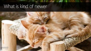 What is kind of newer
 