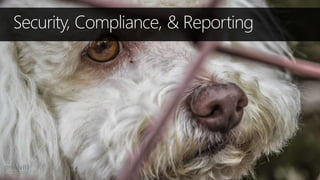 Security, Compliance, & Reporting
 