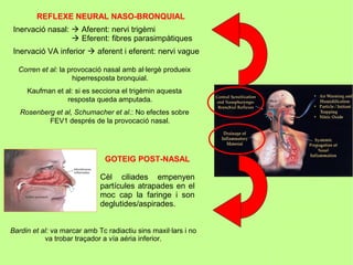 REFLEXE NEURAL NASO-BRONQUIAL
Inervació nasal:  Aferent: nervi trigèmi
                  Eferent: fibres parasimpàtiques
Inervació VA inferior  aferent i eferent: nervi vague

  Corren et al: la provocació nasal amb al·lergè produeix
                    hiperresposta bronquial.
     Kaufman et al: si es secciona el trigèmin aquesta
                 resposta queda amputada.
   Rosenberg et al, Schumacher et al.: No efectes sobre
           FEV1 després de la provocació nasal.




                               GOTEIG POST-NASAL

                             Cèl ciliades empenyen
                             partícules atrapades en el
                             moc cap la faringe i son
                             deglutides/aspirades.


Bardin et al: va marcar amb Tc radiactiu sins maxil·lars i no
           va trobar traçador a vía aéria inferior.
 