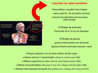 FUNCIONS VIA AÈRIA SUPERIOR

                                         Humidificar i escalfar l’aire inhalat:
                                           xarxa capil·lar i de sinusoids venosos
                                         activació de glándules seromucoses
                                                     submucoses


                                               Filtratge de partícules
                                            Partícules de 5-10 um es dipositen


                                                 Filtratge de gassos
                                            gassos hidrosolubles son eliminats
                                         gassos irritants estimules secreció nasal


             Paper protector a la via aèria inferior de NO nasal
         ● Efecte antiviral + bacteriostàtic (Croen K.J Clin Invest 1993)
        ● Millora oxigenació (Lundber JO et al. Acta Physiol Scand 1995)
  ● Efecte broncodil·latador (Kacmare F et al. Am J Respir Crit Care Med 1996)
● Modula hiperresposta bronquial (Ricciardiolo et al. J Allergy Clin Immunol 2001)
 