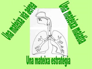 One airway   copia