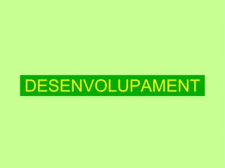 DESENVOLUPAMENT
 