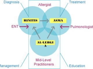 RINITIS      ASMA




      AL·LERGI
          A
 