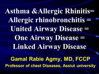 Definition of allergic rhinitis
“Rhinitis is defined as an inflammation of the lining of the nose and
is characterised by ...