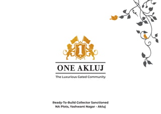 One Akluj - Blue Ventures brochure