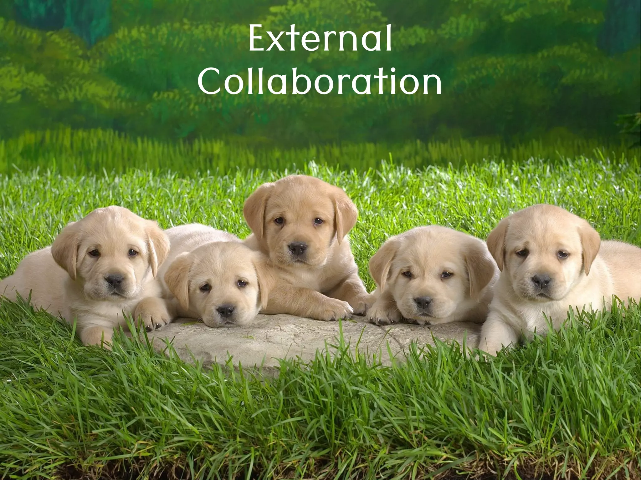 External
Collaboration
 