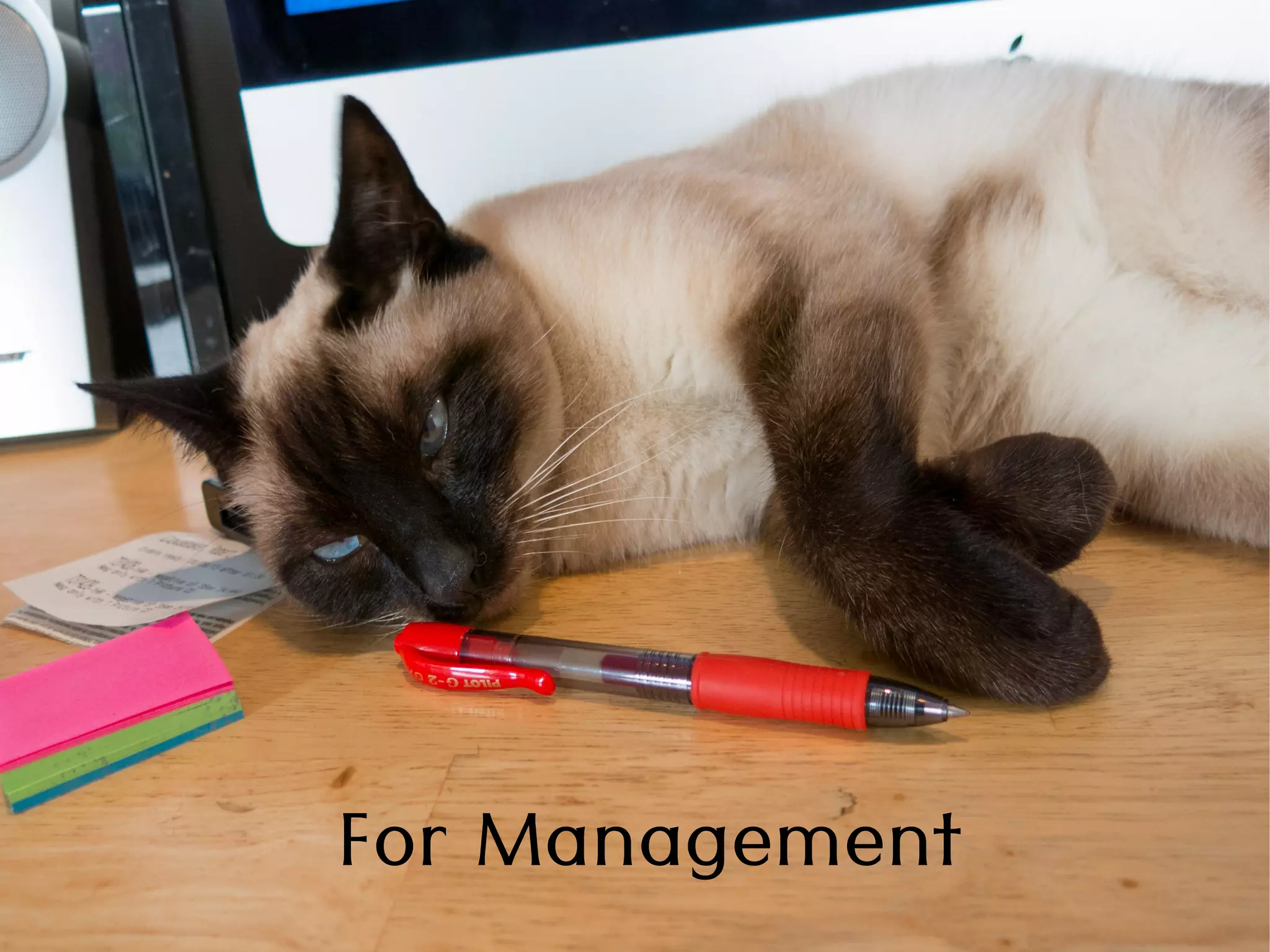 For Management
 