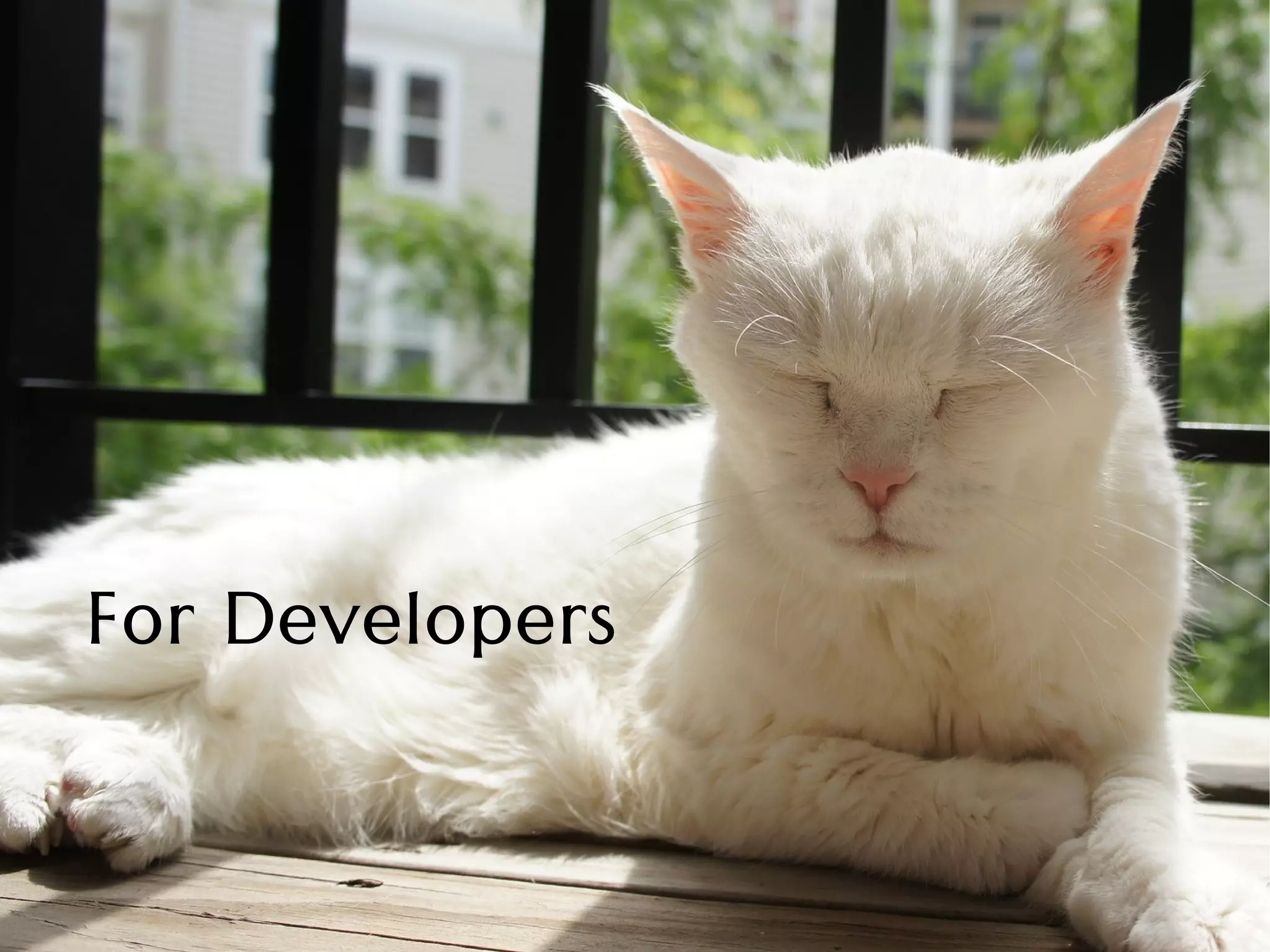 For Developers
 