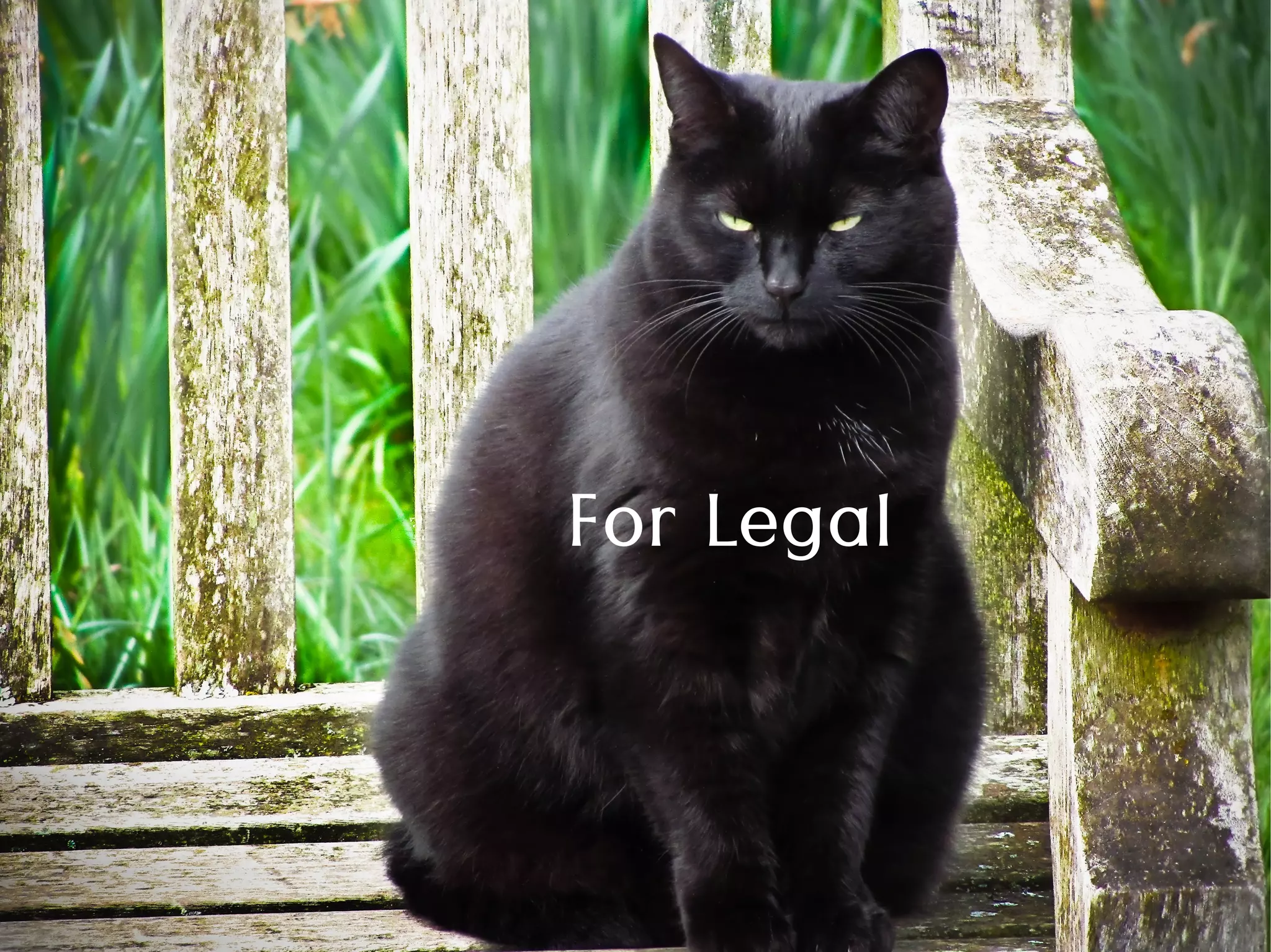 For Legal
 