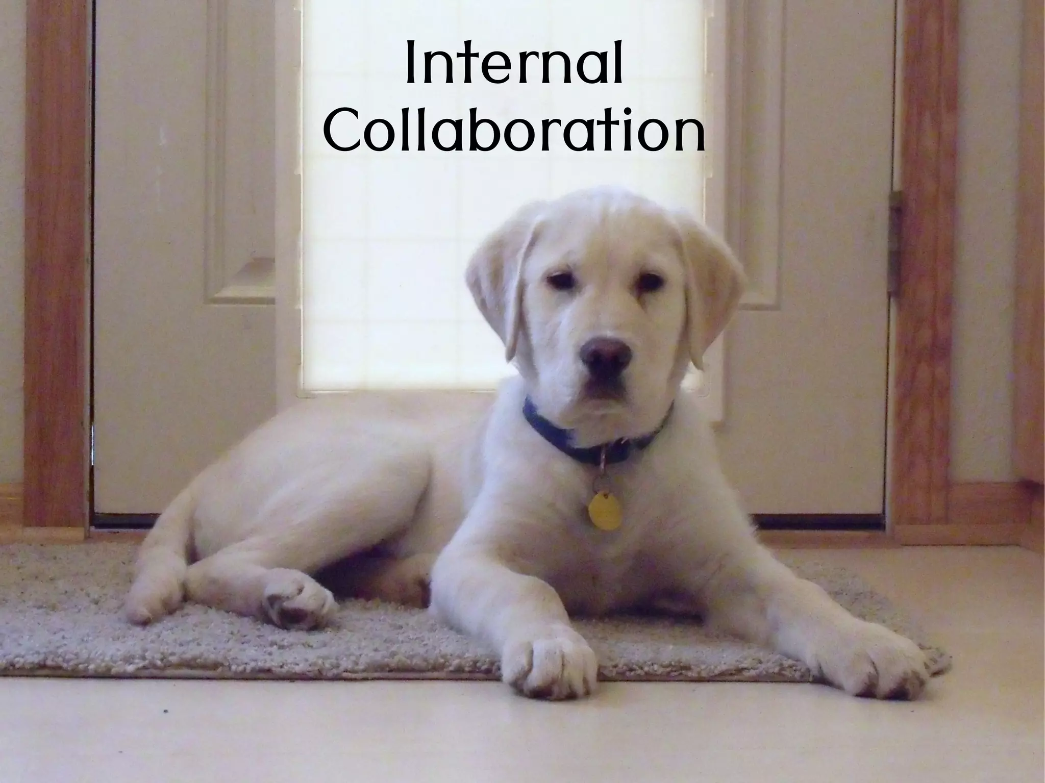 Internal
Collaboration
 