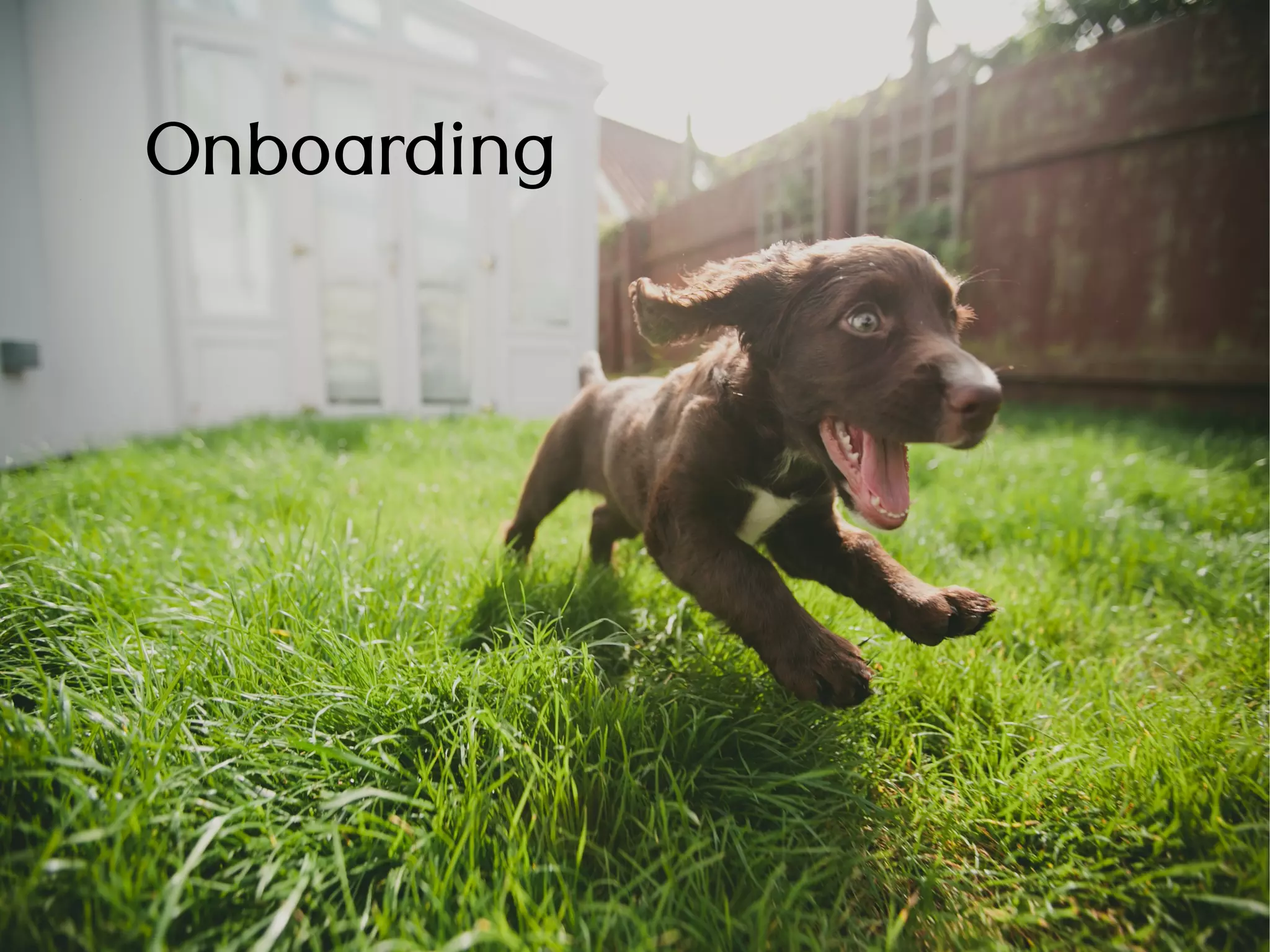 Onboarding
 