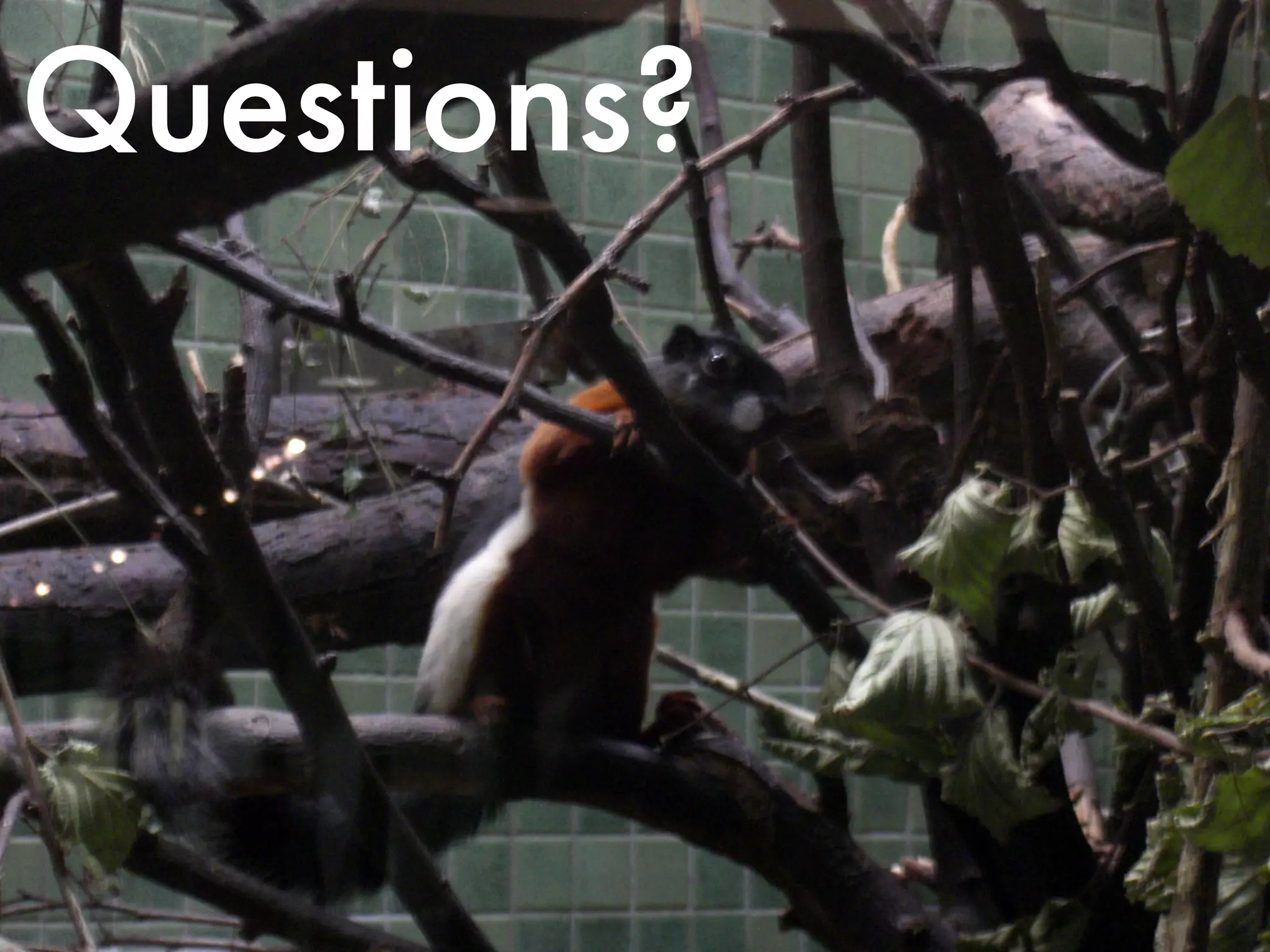 Questions?




             Mayflower GmbH I 88
 