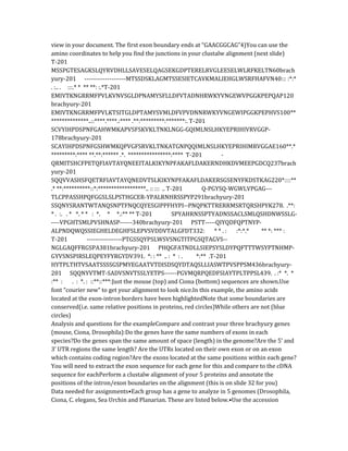 view in your document. The first exon boundary ends at “GAACGGCAG”4)You can use the
amino coordinates to help you find the junctions in your clustalw alignment (next slide)
T-201
MSSPGTESAGKSLQYRVDHLLSAVESELQAGSEKGDPTERELRVGLEESELWLRFKELTN60brach
yury-201 --------------------MTSSDSKLAGMTSSESIETCAVKMALIEHGLWSRFHAFVN40::: :*:*
. :.. . :::.* * ** **: :.*T-201
EMIVTKNGRRMFPVLKVNVSGLDPNAMYSFLLDFVTADNHRWKYVNGEWVPGGKPEPQAP120
brachyury-201
EMIVTKNGRRMFPVLKTSITGLDPTAMYSVMLDFVPVDNNRWKYVNGEWIPGGKPEPHVS100**
**************..::****.****.:**** .**:*********:*******:. T-201
SCVYIHPDSPNFGAHWMKAPVSFSKVKLTNKLNGG-GQIMLNSLHKYEPRIHIVRVGGP-
178brachyury-201
SCAYIHPDSPNFGSHWMKQPVGFSRVKLTNKATGNPQQIMLNSLHKYEPRIHIMRVGGAE160**.*
*********:**** **.**:****** .*. ****************:**** T-201 -
QRMITSHCFPETQFIAVTAYQNEEITALKIKYNPFAKAFLDAKERNDHKDVMEEPGDCQ237brach
yury-201
SQQVVASHSFQETRFIAVTAYQNEDVTSLKIKYNPFAKAFLDAKERSGSENYFKDSTKAG220*::::**
.* **:**********::*:******************.. :: ::: .. T-201 Q-PGYSQ-WGWLVPGAG---
TLCPPASSHPQFGGSLSLPSTHGCER-YPALRNHRSSPYP291brachyury-201
SSQNYSRANTWTANQSNPTFNQCQYESGIPPFHYPI--PNQPKTTRERRMSRTQRSHPYK278. .**:
* . :. . * *. * * : *. * *.:** ** T-201 SPYAHRNSSPTYADNSSACLSMLQSHDNWSSLG-
----VPGHTSMLPVSHNASP------340brachyury-201 PSTT-----QIYQDFQPTNYP-
ALPNDQWQSSIEGHELDEGHFSLEPVSVDDVTALGFDT332: * * . : :*:*.* ** *: *** :
T-201 -----------------PTGSSQYPSLWSVSNGTITPGSQTAGVS--
NGLGAQFFRGSPA381brachyury-201 PHQGFATNDLLSIEPSYSLDYPQFTTTWSYPTNHMP-
GYVSNSPIRSLEQPEYFYRGYDV391. *: : ** .. : * : . *:** .T-201
HYTPLTHTVSAATSSSSGSPMYEGAATVTDISDSQYDTAQSLLIASWTPVSPPSM436brachyury-
201 SQQNYVTMT-SADVSNVTSSLYETPS------PGVMQRPQEDFSIAYTPLTPPSL439. . :* *. *
:** : . : *. : ::**::***:Just the mouse (top) and Ciona (bottom) sequences are shown.Use
font “courier new” to get your alignment to look nice.In this example, the amino acids
located at the exon-intron borders have been highlightedNote that some boundaries are
conserved(i.e. same relative positions in proteins, red circles)While others are not (blue
circles)
Analysis and questions for the exampleCompare and contrast your three brachyury genes
(mouse, Ciona, Drosophila):Do the genes have the same numbers of exons in each
species?Do the genes span the same amount of space (length) in the genome?Are the 5’ and
3’ UTR regions the same length? Are the UTRs located on their own exon or on an exon
which contains coding region?Are the exons located at the same positions within each gene?
You will need to extract the exon sequence for each gene for this and compare to the cDNA
sequence for eachPerform a clustalw alignment of your 5 proteins and annotate the
positions of the intron/exon boundaries on the alignment (this is on slide 32 for you)
Data needed for assignments•Each group has a gene to analyze in 5 genomes (Drosophila,
Ciona, C. elegans, Sea Urchin and Planarian. These are listed below.•Use the accession
 
