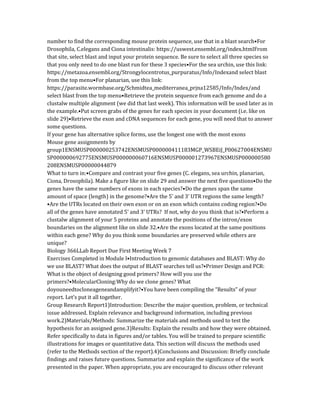 number to find the corresponding mouse protein sequence, use that in a blast search•For
Drosophila, C.elegans and Ciona intestinalis: https://uswest.ensembl.org/index.htmlFrom
that site, select blast and input your protein sequence. Be sure to select all three species so
that you only need to do one blast run for these 3 species•For the sea urchin, use this link:
https://metazoa.ensembl.org/Strongylocentrotus_purpuratus/Info/Indexand select blast
from the top menu•For planarian, use this link:
https://parasite.wormbase.org/Schmidtea_mediterranea_prjna12585/Info/Index/and
select blast from the top menu•Retrieve the protein sequence from each genome and do a
clustalw multiple alignment (we did that last week). This information will be used later as in
the example.•Put screen grabs of the genes for each species in your document (i.e. like on
slide 29)•Retrieve the exon and cDNA sequences for each gene, you will need that to answer
some questions.
If your gene has alternative splice forms, use the longest one with the most exons
Mouse gene assignments by
group1ENSMUSP000000253742ENSMUSP000000411183MGP_WSBEiJ_P00627004ENSMU
SP000000692775ENSMUSP000000060716ENSMUSP000001273967ENSMUSP000000580
208ENSMUSP00000044879
What to turn in:•Compare and contrast your five genes (C. elegans, sea urchin, planarian,
Ciona, Drosophila). Make a figure like on slide 29 and answer the next five questions•Do the
genes have the same numbers of exons in each species?•Do the genes span the same
amount of space (length) in the genome?•Are the 5’ and 3’ UTR regions the same length?
•Are the UTRs located on their own exon or on an exon which contains coding region?•Do
all of the genes have annotated 5’ and 3’ UTRs? If not, why do you think that is?•Perform a
clustalw alignment of your 5 proteins and annotate the positions of the intron/exon
boundaries on the alignment like on slide 32.•Are the exons located at the same positions
within each gene? Why do you think some boundaries are preserved while others are
unique?
Biology 366LLab Report Due First Meeting Week 7
Exercises Completed in Module I•Introduction to genomic databases and BLAST: Why do
we use BLAST? What does the output of BLAST searches tell us?•Primer Design and PCR:
What is the object of designing good primers? How will you use the
primers?•MolecularCloning:Why do we clone genes? What
doyouneedtocloneageneandamplifyit?•You have been compiling the “Results” of your
report. Let’s put it all together.
Group Research Report1)Introduction: Describe the major question, problem, or technical
issue addressed. Explain relevance and background information, including previous
work.2)Materials/Methods: Summarize the materials and methods used to test the
hypothesis for an assigned gene.3)Results: Explain the results and how they were obtained.
Refer specifically to data in figures and/or tables. You will be trained to prepare scientific
illustrations for images or quantitative data. This section will discuss the methods used
(refer to the Methods section of the report).4)Conclusions and Discussion: Briefly conclude
findings and raises future questions. Summarize and explain the significance of the work
presented in the paper. When appropriate, you are encouraged to discuss other relevant
 