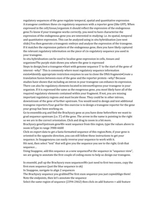 regulatory sequences of the gene regulate temporal, spatial and quantitative expression
A transgene combines these cis-regulatory sequences with a reporter gene (like GFP). When
expressed in the cell/tissue/organism it should reflect the expression of the endogenous
gene.To know if your transgene works correctly, you need to have characterize the
expression of the endogenous gene you are interested in studying: i.e. its spatial, temporal
and quantitative expression. This can be analyzed using in situ hybridization (see next
slide).You then generate a transgenic embryo and analyze the expression of the transgene.
If it matches the expression pattern of the endogenous gene, then you have likely captured
the relevant regulatory information on the piece of cis-regulatory sequence you used in
your transgene.
In situ hybridization can be used to localize gene expression in cells, tissues and
organismsThe purple stain shows you where the gene is expressed
Steps to design/test a transgene:•Start with genome sequence 5’ to the start of the gene of
interest –why? This is commonly where most regulatory sequence information
exists•Identify appropriate restriction enzymes to use to clone the DNA fragment•Create a
translation fusion between exon of the gene and the reporter protein –why? Because
studies have shown that including an intron in your transgene can enhance its expression.
There can also be regulatory elements located in introns•Express your transgene in your
organism. If it is expressed the same as the exogenous gene, you most likely have all of the
required regulatory elements contained within your fragment. If not, you are missing
important regulatory regions and must locate those. They could be in other introns,
downstream of the gene of further upstream. You would need to design and test additional
transgene reporters.Your goal for this exercise is to design a transgene reporter for the gene
your group has been working on.
Go to ensemble.org and find the Brachyury gene as you have done beforeHere we want to
grad sequence upstream (i.e. 5’) of the gene. The arrow in the name is pointing to the right
so we are in the correct orientation. Click and drag to zoom in a bit more.
Brachyury geneUpstream geneWe want sequence from this region, type the values above to
zoom inType in range 3900-6600
Click on export data to get a fasta-formatted sequence of this region.Note, if your gene is
oriented in the opposite direction, you can still follow these instructions to get your
sequence. In Snapgeneyou can easily reverse your sequence to work with it.
Hit next, then select “text” that will give you the sequence you see to the right. Grab that
sequence…
Using Snapgene, add this sequence as a new sequencePut the sequence in “sequence view”,
we are going to annotate the first couple of coding exons to help us design our transgene.
In ensembl, pull up the Brachyury exon sequencesWe just need to first two exons, copy the
first exon sequence (just the blue sequence is ok)
In Snapgene, navigate to align 2 sequences
The Brachyury sequence you grabbedThe first exon sequence you just copiedAlign them!
Note the endpoints, then let’s annotate the sequence
Select the same region of sequence (2394-2462) then click on add features-> add feature
 