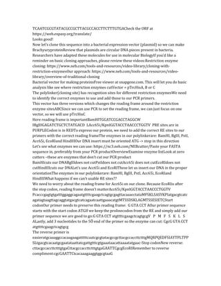 TCAATCGCGTATACGCCGCTTACGCCACCTTCTTTGTGACheck the ORF at
https://web.expasy.org/translate/
Looks good!
Now let’s clone this sequence into a bacterial expression vector (plasmid) so we can make
BrachyuryproteinReview that plasmids are circular DNA pieces present in bacteria.
Researchers have adapted these molecules for use in molecular BiologyIf you’d like a
reminder on basic cloning approaches, please review these videos:Restriction enzyme
cloning: https://www.neb.com/tools-and-resources/video-library/cloning-with-
restriction-enzymesOur approach: https://www.neb.com/tools-and-resources/video-
library/overview-of-traditional-cloning
Bacterial vector for making proteinsFree viewer at snapgene.com. This will let you do basic
analysis like see where restriction enzymes cutVector = pTrcHisA, B or C
The polylinker(cloning site) has recognition sites for different restriction enzymesWe need
to identify the correct enzymes to use and add those to our PCR primers.
This vector has three versions which changes the reading frame around the restriction
enzyme sitesABCSince we can use PCR to set the reading frame, we can just focus on one
vector, so we will use pTrcHisC
Here reading frame is importantBamHITGGATCCGACCTAGGCW
IBglIIGAGATCTGCTCTATGACD LAcc65i/KpnIGGTACCTAACCCTGGTV PRE sites are in
PURPLECodon is in REDTo express our protein, we need to add the correct RE sites to our
primers with the correct reading frameThe enzymes in our polylinkerare: BamHI, BglII, PstI,
Acc65i, EcoRIand HindIIIOur DNA insert must be oriented ATG -> stop in this direction
Let’s see what enzymes we can use: https://nc3.neb.com/NEBcutter/Paste your FASTA
sequence in, preferably from your PCR productOverviewExamine enzyme listLook at zero
cutters –these are enzymes that don’t cut our PCR product
BamHIcuts our DNABglIIdoes not cutPstIdoes not cutAcc65i does not cutEcoRIdoes not
cutHindIIIcuts our DNALet’s use Acc65i and EcoRIThese let us insert our DNA in the proper
orientationThe enzymes in our polylinkerare: BamHI, BglII, PstI, Acc65i, EcoRIand
HindIIIWhat happens if we can’t usable RE sites??
We need to worry about the reading frame for Acc65i on our clone. Because EcoRIis after
the stop codon, reading frame doesn’t matterAcc65i/KpnIGGTACCTAACCCTGGTV
PcacccgagtgtgatttggaggcagaatgttttcgaagctcagtgcgagttacaaacctataMFSKLSASYKPIatgacgtcatc
agatagtaagttagcaggtatgacgtcatcagaatcaattgaaacatgtMTSSDSKLAGMTSSESIETCStart
codonOur primer needs to preserve this reading frame: G GTA CCT AOur primer sequence
starts with the start codon ATGIf we keep the prolinecodon from the RE and simply add our
primer sequence we are good to go:G GTA CCT atgttttcgaagctcagtgcgV P M F S K L S
ALastly, add 3 nucleotides to the 5Õ end of the primer so the enzyme can cut: CgcG GTA CCT
atgttttcgaagctcagtgcg
The reverse primer is
easieratgcaaaggccacaagaagatttttcaatcgcgtatacgccgcttacgccaccttctttgMQRPQEDFSIAYTPLTPP
SLtgacgtcacaatgcgaatataattatcgattgtttcgtgaaataacattaaaatatgaac-Stop codonNew reverse:
cttacgccaccttctttgtgaCttacgccaccttctttgtgaGAATTCgcgEcoRIRemember to reverse
compliment:cgcGAATTCtcacaaagaaggtggcgtaaG
 