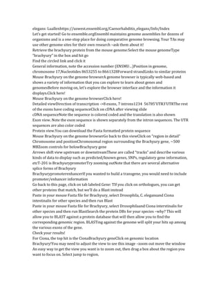 elegans: Luallenhttps://uswest.ensembl.org/Caenorhabditis_elegans/Info/Index
Let’s get started! Go to ensemble.orgEnsembl maintains genome assemblies for dozens of
organisms and is a one-stop place for doing comparative genome browsing. Your TAs may
use other genome sites for their own research –ask them about it!
Retrieve the brachyury protein from the mouse genome:Select the mouse genomeType
“brachyury” in the box and hit go
Find the circled link and click it
General information, note the accession number (ENSMU…)Position in genome,
chromosome 17,Nucleotides 8653255 to 8661328Forward strandLinks to similar proteins
Mouse Brachyury on the genome browserA genome browser is typically web-based and
shows a variety of information that you can explore to learn about genes and
genomesBefore moving on, let’s explore the browser interface and the information it
displays.Click here!
Mouse Brachyury on the genome browserClick here!
Detailed viewDirection of transcription ->8 exons, 7 introns1234 56785’UTR3’UTRThe rest
of the exons have coding sequenceClick on cDNA after viewing slide
cDNA sequenceNote the sequence is colored coded and the translation is also shown
Exon view. Note the exon sequence is shown separately from the intron sequences. The UTR
sequences are also color coded
Protein view.You can download the Fasta formatted protein sequence
Mouse Brachyury on the genome browserGo back to this viewClick on “region in detail”
Chromosome and positionChromosomal region surrounding the Brachyury gene, ~500
MBZoom controls for belowBrachyury gene
Arrows shift view upstream or downstreamThese are called “tracks” and describe various
kinds of data to display such as predicted/known genes, SNPs, regulatory gene information,
etcT-201 is BrachyurypromoterTry zooming outNote that there are several alternative
splice forms of Brachyury
BrachyurypromoterenhancerIf you wanted to build a transgene, you would need to include
promoter/enhancer information
Go back to this page, click on tab labeled Gene: TIf you click on orthologues, you can get
other proteins that match, but we’ll do a Blast instead
Paste in your mouse Fasta file for Brachyury, select Drosophila, C. elegansand Ciona
intestinalis for other species and then run Blast
Paste in your mouse Fasta file for Brachyury, select Drosophilaand Ciona interstinalis for
other species and then run BlastSearch the protein DBs for your species –why? This will
allow you to BLAST against a protein database that will then allow you to find the
corresponding genomic region. BLASTing against the genome will split your hits up among
the various exons of the gene.
Check your results!
For Ciona, the top hit is the CionaBrachyury geneClick on genomic location
Brachyury!You may need to adjust the view to see this image –zoom out move the window
An easy way to get the view you want is to zoom out, then drag a box about the region you
want to focus on. Select jump to region.
 