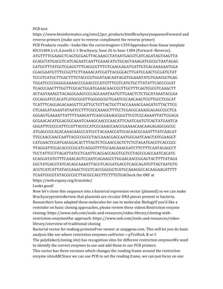 PCR test:
https://www.bioinformatics.org/sms2/pcr_products.htmlBrachyurysequenceForward and
reverse primers (make sure to reverse compliment the reverse primer)
PCR Products results –looks like the correctregion>1359 bpproduct from linear template
KH.S1404.1.v1.A.nonSL1-1 Brachyury, base 26 to base 1384 (Forward -Reverse).
ATGTTTTCGAAGCTCAGTGCGAGTTACAAACCTATAATGACGTCATCAGATAGTAAGTTA
GCAGGTATGACGTCATCAGAATCAATTGAAACATGTGCAGTAAAGATGGCGCTAATAGAG
CATGGTTTATGGTCGAGGTTTCACGCGTTTGTCAACGAGATGATTGTGACAAAAAATGGA
CGACGAATGTTTCCGGTTCTTAAAACATCGATTACGGGACTTGATCCAACTGCGATGTAT
TCCGTCATGCTTGACTTTGTACCCGTGGATAACAATAGATGGAAATATGTGAACGGTGAG
TGGATCCCCGGGGGAAAACCCGAACCCCATGTTTCGTCATGTGCTTATATTCACCCCGAT
TCACCCAACTTTGGTTCGCACTGGATGAAACAACCCGTTGGTTTCAGTCGCGTCAAACTT
ACTAATAAAGCTACAGGGAACCCCCAGCAAATAATGTTGAACTCTCTGCATAAATACGAA
CCCAGGATCCACATCATGCGCGTTGGGGGCGCTGAATCGCAACAAGTCGTTGCCTCGCAT
TCATTTCAGGAGACAAGGTTCATTGCTGTTACTGCTTACCAAAACGAAGATGTTACTTCG
CTCAAGATAAAATATAATCCTTTCGCCAAAGCTTTCCTCGACGCAAAGGAGAGCCGCTCA
GGGAGTGAAAATTATTTTAAAGATTCAACGAAAGCGGGTTCGTCGCAAAATTATTCGAGA
GCGAACACATGGACGGCAAATCAAAGCAACCCAACATTCAATCAATGTCAGTATGAATCA
GGGATTCCCCCATTCCATTACCCCATCCCAAACCAACCGAAAACAACAAGAGAGCGGCGC
ATGAGCCGCACACAAAGAAGCCATCCCTACAAACCATCCACAACGCAAATTTATCAAGAT
TTCCAACCAACCAATTACCCCGCCCTACCAAACGACCAATGGCAATCAAGTATCGAAGGT
CATGAACTCGATGAGGGACACTTTAGTCTCGAACCAGTCTCTGTAGATGACGTCACCGCC
TTAGGATTCGACACCCCGCATCAGGGTTTTGCAACAAACGATCTTCTTTCAATAGAGCCT
TCCTATTCGTTAGATTATCCTCAATTCACGACCACGTGGTCCTACCCGACCAATCACATG
CCAGGATATGTTTCAAACAGTCCAATCAGAAGCCTGGAACAACCGGAGTACTTTTATAGA
GGCTATGACGTATCACAGCAAAATTACGTCACGATGACGTCAGCAGATGTTAGTAATGTG
ACGTCATCATTATACGAAACTCCGTCACCGGGGGTCATGCAAAGGCCACAAGAAGATTTT
TCAATCGCGTATACGCCGCTTACGCCACCTTCTTTGTGACheck the ORF at
https://web.expasy.org/translate/
Looks good!
Now let’s clone this sequence into a bacterial expression vector (plasmid) so we can make
BrachyuryproteinReview that plasmids are circular DNA pieces present in bacteria.
Researchers have adapted these molecules for use in molecular BiologyIf you’d like a
reminder on basic cloning approaches, please review these videos:Restriction enzyme
cloning: https://www.neb.com/tools-and-resources/video-library/cloning-with-
restriction-enzymesOur approach: https://www.neb.com/tools-and-resources/video-
library/overview-of-traditional-cloning
Bacterial vector for making proteinsFree viewer at snapgene.com. This will let you do basic
analysis like see where restriction enzymes cutVector = pTrcHisA, B or C
The polylinker(cloning site) has recognition sites for different restriction enzymesWe need
to identify the correct enzymes to use and add those to our PCR primers.
This vector has three versions which changes the reading frame around the restriction
enzyme sitesABCSince we can use PCR to set the reading frame, we can just focus on one
 