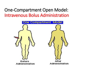 One-Compartment Open Model:
Intravenous Bolus Administration
 
