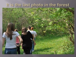 It is the last photo in the forest